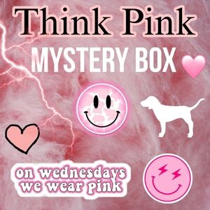 Think Pink Mystery Box! On Wednesdays We Wear Pink 🩷 PreLoved Surprise Bundle